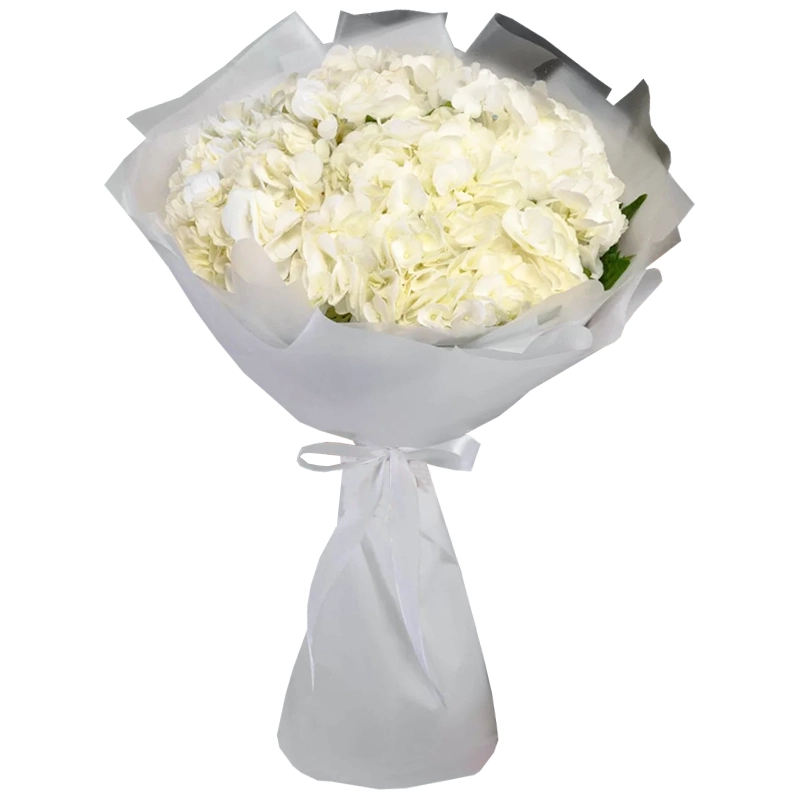 Букет из 5 белых гортензий
