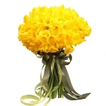 Нарциссы желтые